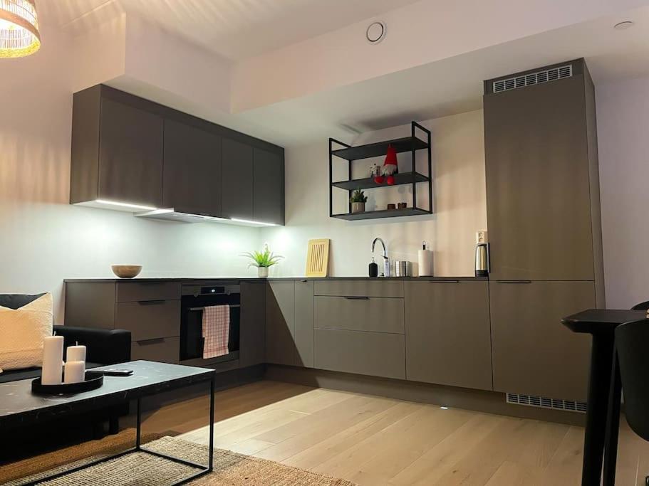 High Standard In Center Apartment Oslo
